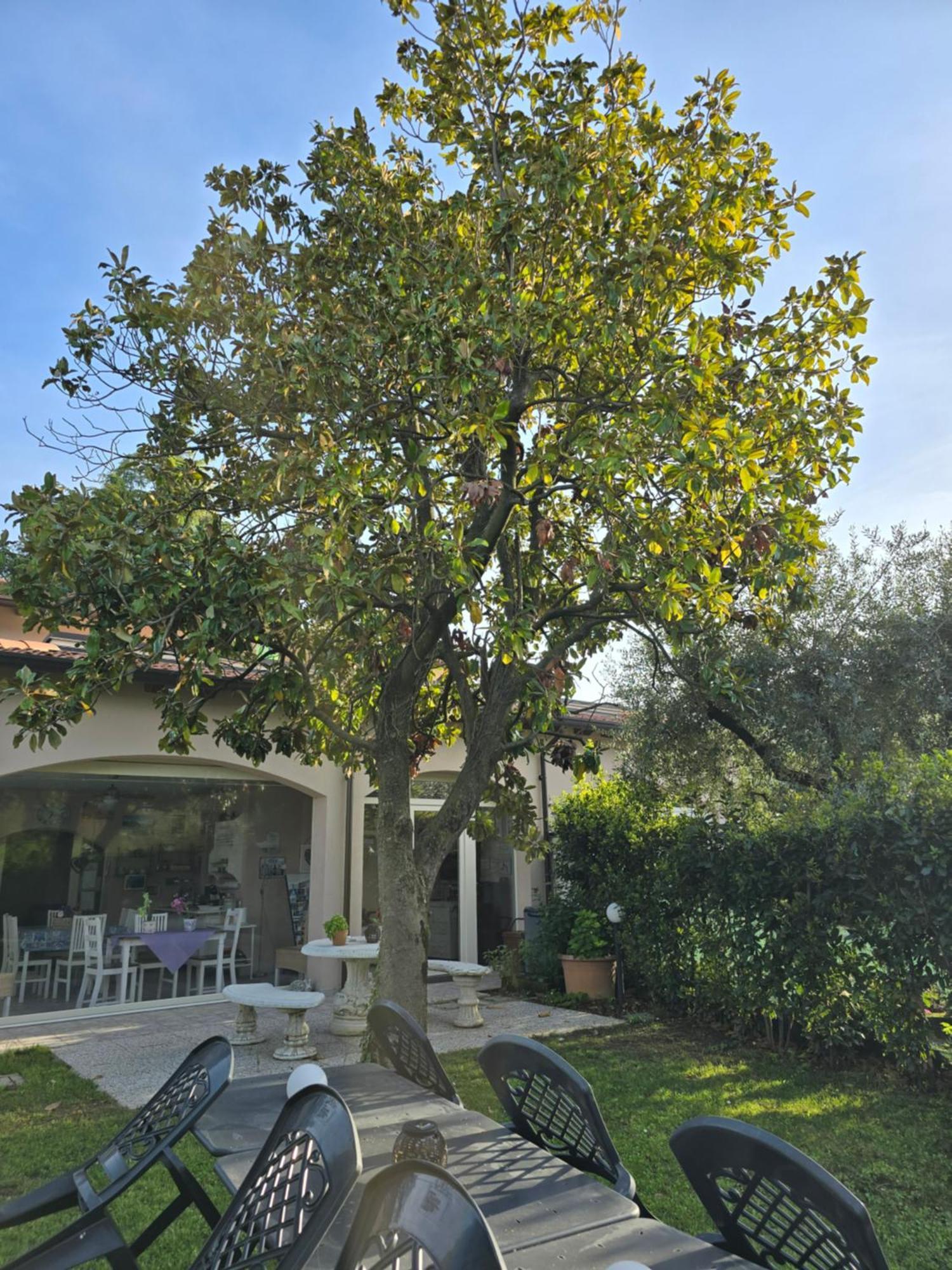 Villa Indipendente A Pochi Passi Dal Lago San Felice del Benaco Extérieur photo