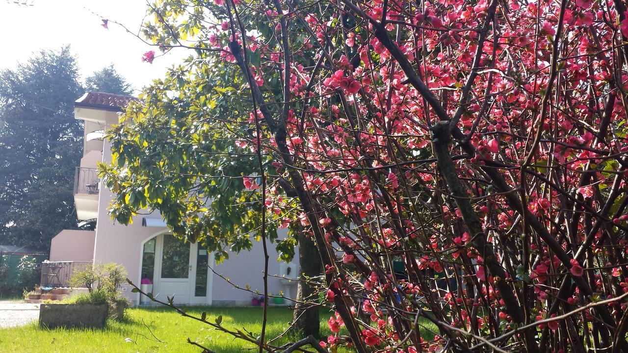 Villa Indipendente A Pochi Passi Dal Lago San Felice del Benaco Extérieur photo
